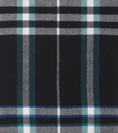 Lucas Green / Teal Check Scarf