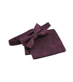 Bow Tie And Pocket Square Wine Paisley